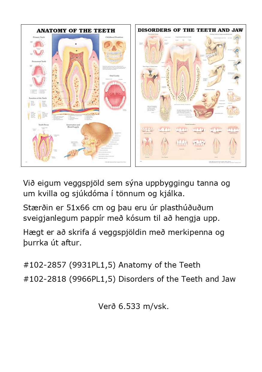 Anatomy of the teeth og Disorder of teeht and jaw 2022
